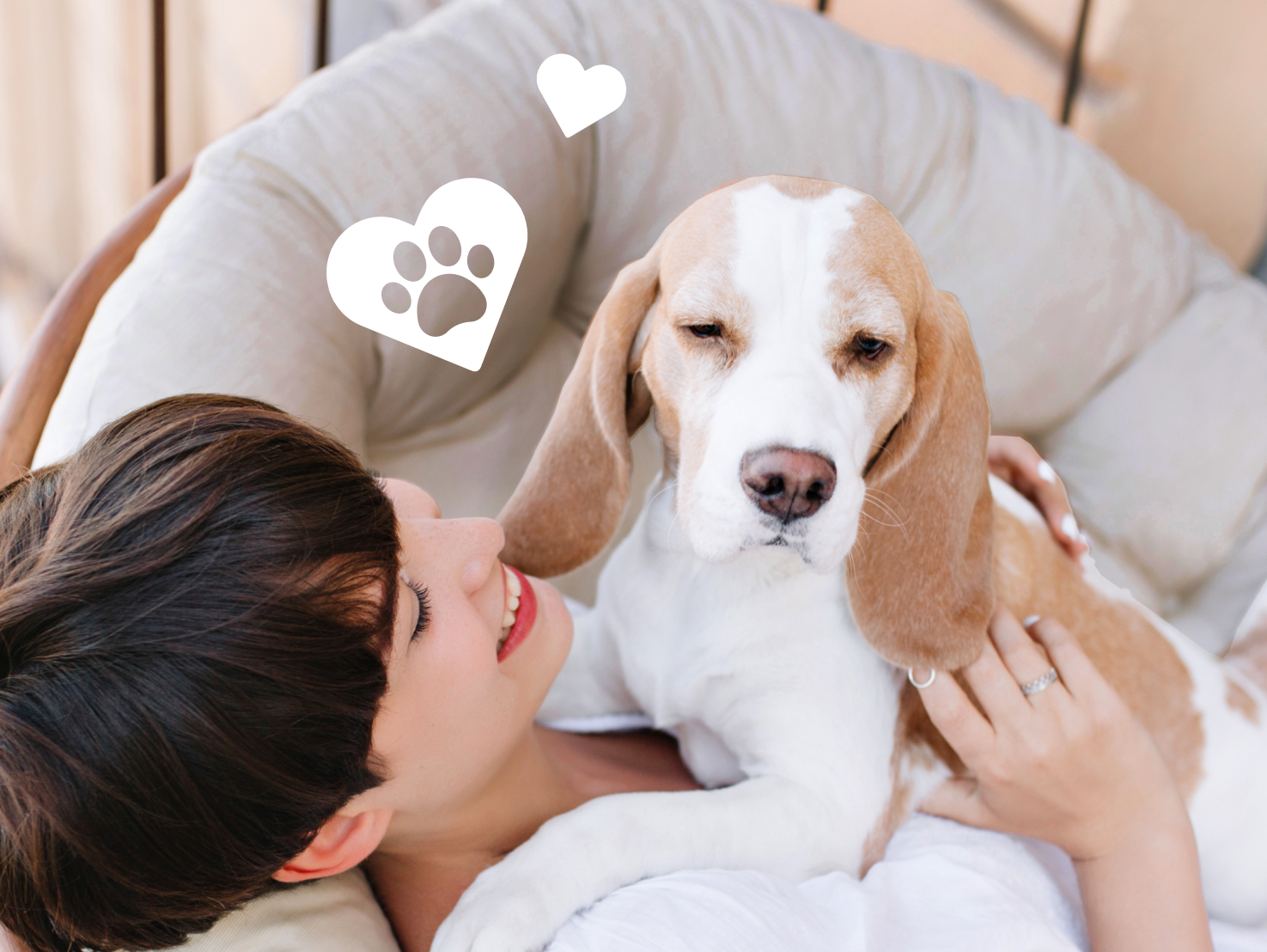 Jak przygotować mieszkanie do wynajęcia przyjazne zwierzętom? Poradnik dla właścicieli pupili