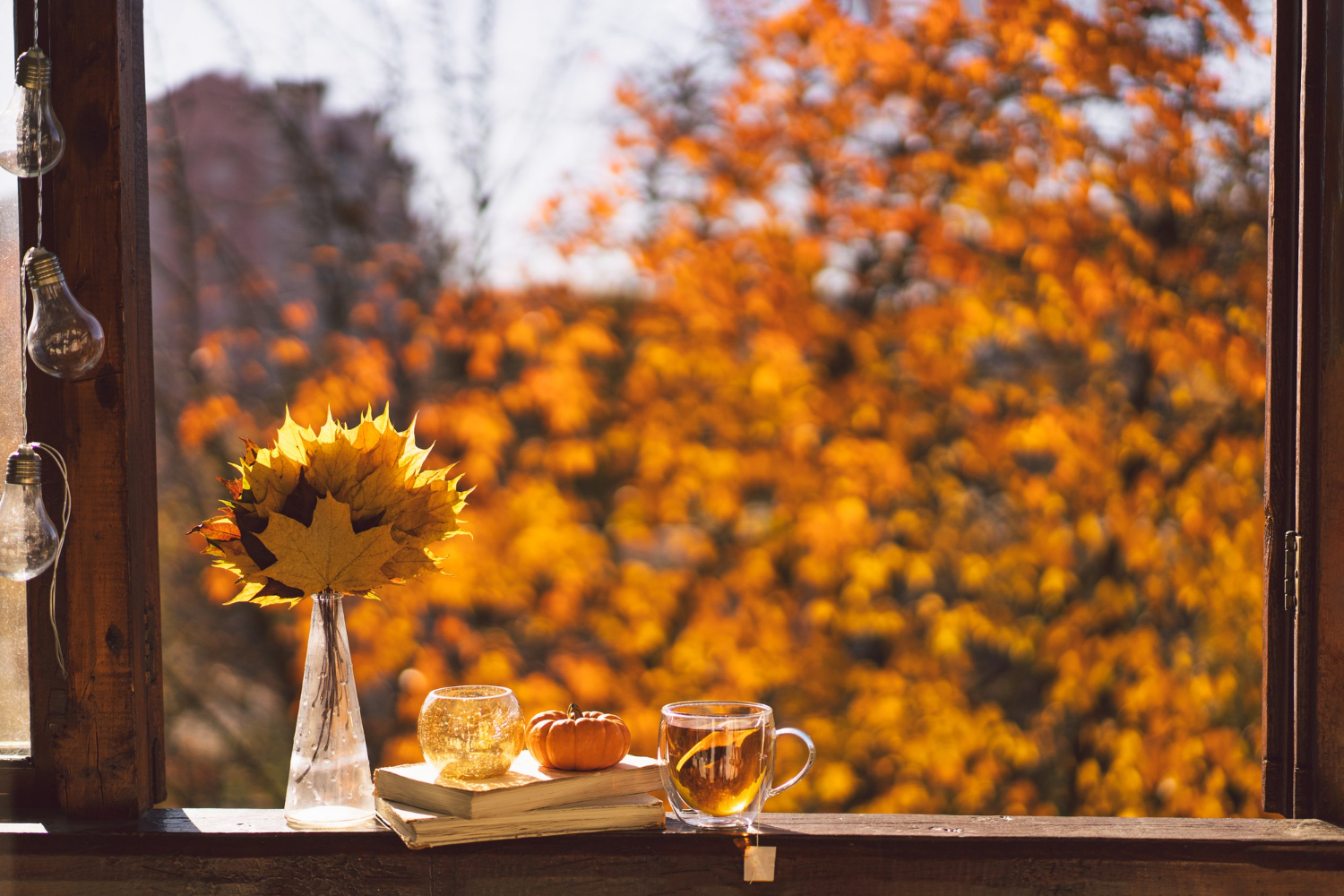 Jesień w wynajmie krótkoterminowym: miasta droższe przez eventy, Bałtyk atrakcyjny cenowo, a góry pełne turystów