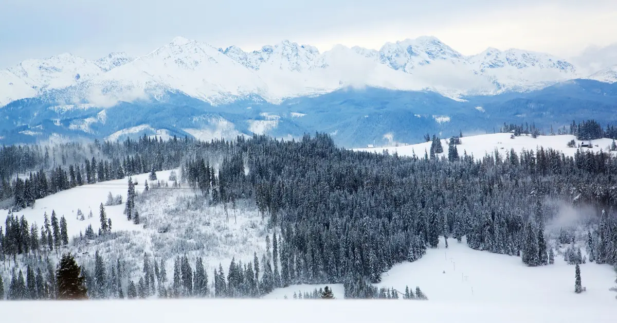 Renters apartamenty zakopane zimą